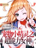 宠物小精灵之超能力女神 孤灯葬夜人