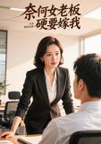 奈何老板又如何电视剧