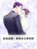 染指成婚：教授老公难伺候